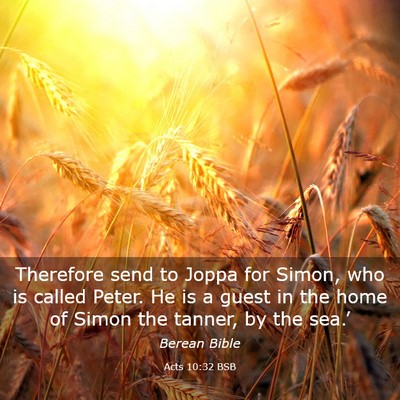 Picture 03 - Acts 10:32 BSB - Therefore send to Joppa for Simon, who is called - Bible Verse Picture