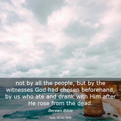 Picture 03 - Acts 10:41 BSB - not by all the people, but by the witnesses God - Bible Verse Picture