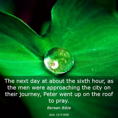 Picture 03 - Acts 10:9 BSB - The next day at about the sixth hour, as the men - Bible Verse Picture