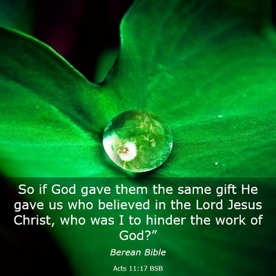 Picture 03 - Acts 11:17 BSB - So if God gave them the same gift He gave us who - Bible Verse Picture