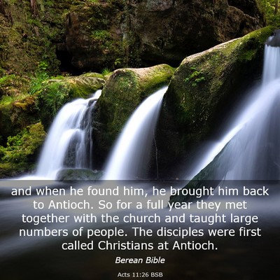 Picture 03 - Acts 11:26 BSB - and when he found him, he brought him back to - Bible Verse Picture