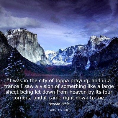 Picture 03 - Acts 11:5 BSB - “I was in the city of Joppa praying, and in a - Bible Verse Picture
