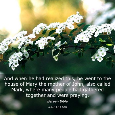 Picture 03 - Acts 12:12 BSB - And when he had realized this, he went to the - Bible Verse Picture