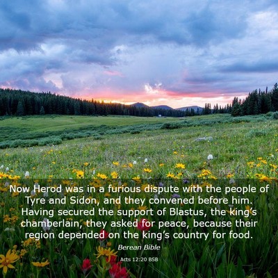 Picture 03 - Acts 12:20 BSB - Now Herod was in a furious dispute with the - Bible Verse Picture
