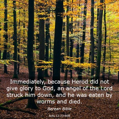 Picture 03 - Acts 12:23 BSB - Immediately, because Herod did not give glory to - Bible Verse Picture