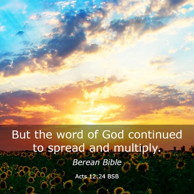Picture 03 - Acts 12:24 BSB - But the word of God continued to spread and - Bible Verse Picture