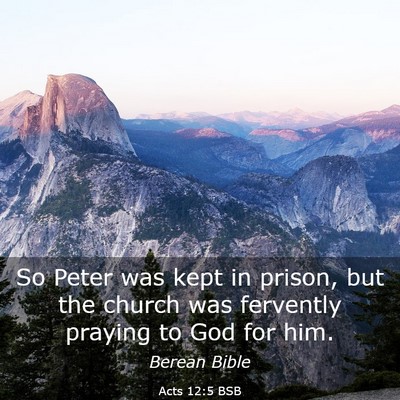 Picture 03 - Acts 12:5 BSB - So Peter was kept in prison, but the church was - Bible Verse Picture