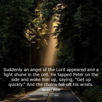 Picture 03 - Acts 12:7 BSB - Suddenly an angel of the Lord appeared and a - Bible Verse Picture