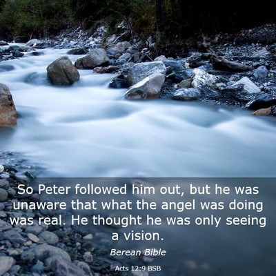 Picture 03 - Acts 12:9 BSB - So Peter followed him out, but he was unaware - Bible Verse Picture