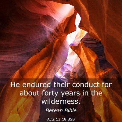 Picture 03 - Acts 13:18 BSB - He endured their conduct for about forty years in - Bible Verse Picture