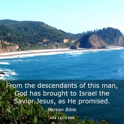 Picture 03 - Acts 13:23 BSB - From the descendants of this man, God has brought - Bible Verse Picture