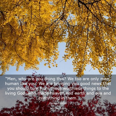 Picture 03 - Acts 14:15 BSB - “Men, why are you doing this? We too are only - Bible Verse Picture