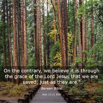 Picture 03 - Acts 15:11 BSB - On the contrary, we believe it is through the - Bible Verse Picture