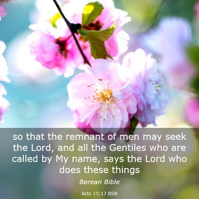 Picture 03 - Acts 15:17 BSB - so that the remnant of men may seek the Lord, and - Bible Verse Picture