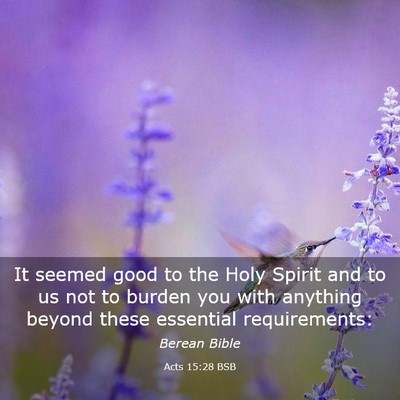 Picture 03 - Acts 15:28 BSB - It seemed good to the Holy Spirit and to us not - Bible Verse Picture