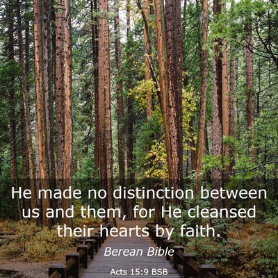 Picture 03 - Acts 15:9 BSB - He made no distinction between us and them, for - Bible Verse Picture