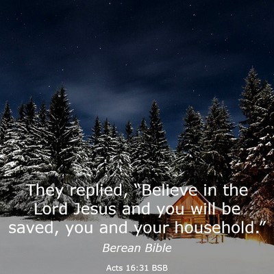 Picture 03 - Acts 16:31 BSB - They replied, “Believe in the Lord Jesus and - Bible Verse Picture