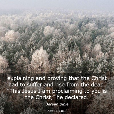 Picture 03 - Acts 17:3 BSB - explaining and proving that the Christ had to - Bible Verse Picture