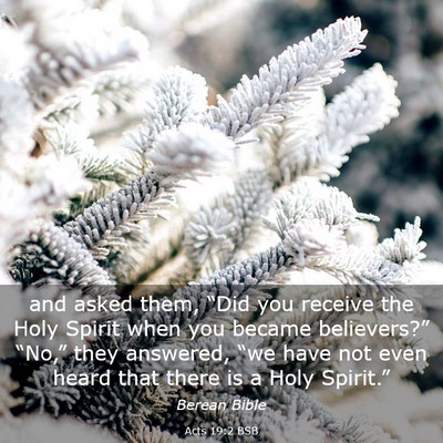 Picture 03 - Acts 19:2 BSB - and asked them, “Did you receive the Holy - Bible Verse Picture