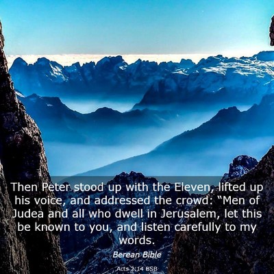 Picture 03 - Acts 2:14 BSB - Then Peter stood up with the Eleven, lifted up - Bible Verse Picture