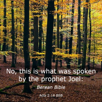 Picture 03 - Acts 2:16 BSB - No, this is what was spoken by the prophet - Bible Verse Picture