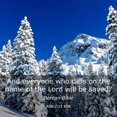 Picture 03 - Acts 2:21 BSB - And everyone who calls on the name of the Lord - Bible Verse Picture