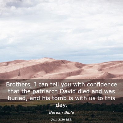 Picture 03 - Acts 2:29 BSB - Brothers, I can tell you with confidence that the - Bible Verse Picture