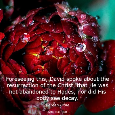 Picture 03 - Acts 2:31 BSB - Foreseeing this, David spoke about the - Bible Verse Picture