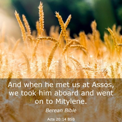 Picture 03 - Acts 20:14 BSB - And when he met us at Assos, we took him aboard - Bible Verse Picture