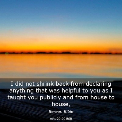Picture 03 - Acts 20:20 BSB - I did not shrink back from declaring anything - Bible Verse Picture