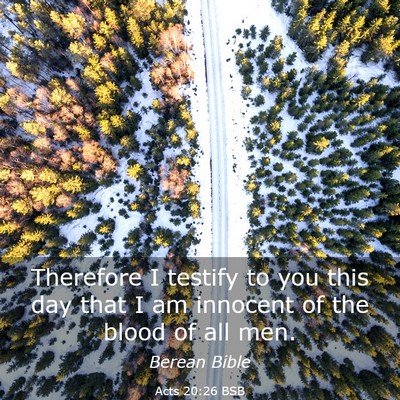 Picture 03 - Acts 20:26 BSB - Therefore I testify to you this day that I am - Bible Verse Picture