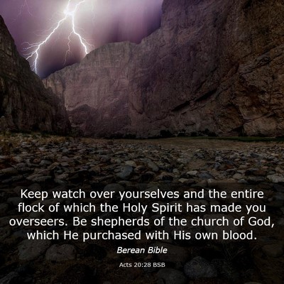 Picture 03 - Acts 20:28 BSB - Keep watch over yourselves and the entire flock - Bible Verse Picture