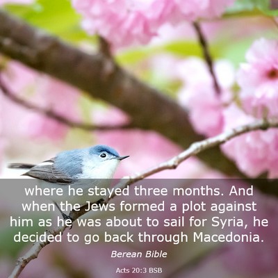 Picture 03 - Acts 20:3 BSB - where he stayed three months. And when the Jews - Bible Verse Picture