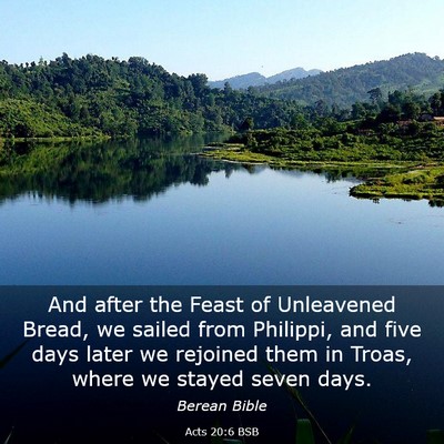 Picture 03 - Acts 20:6 BSB - And after the Feast of Unleavened Bread, we - Bible Verse Picture
