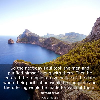 Picture 03 - Acts 21:26 BSB - So the next day Paul took the men and purified - Bible Verse Picture
