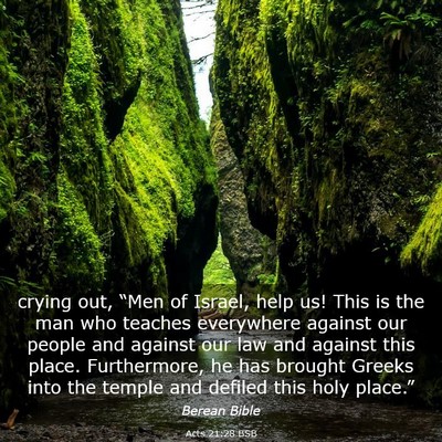 Picture 03 - Acts 21:28 BSB - crying out, “Men of Israel, help us! This is - Bible Verse Picture