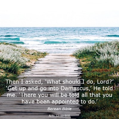 Picture 03 - Acts 22:10 BSB - Then I asked, ‘What should I do, Lord?’ - Bible Verse Picture