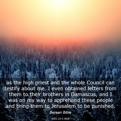 Picture 03 - Acts 22:5 BSB - as the high priest and the whole Council can - Bible Verse Picture