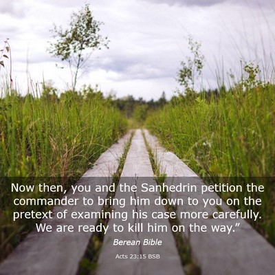 Picture 03 - Acts 23:15 BSB - Now then, you and the Sanhedrin petition the - Bible Verse Picture