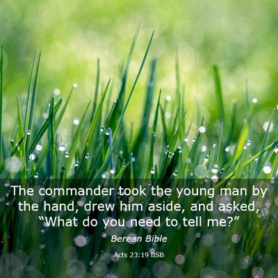 Picture 03 - Acts 23:19 BSB - The commander took the young man by the hand, - Bible Verse Picture