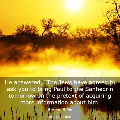 Picture 03 - Acts 23:20 BSB - He answered, “The Jews have agreed to ask you - Bible Verse Picture