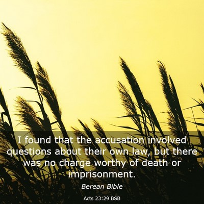 Picture 03 - Acts 23:29 BSB - I found that the accusation involved questions - Bible Verse Picture