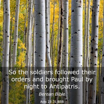 Picture 03 - Acts 23:31 BSB - So the soldiers followed their orders and brought - Bible Verse Picture