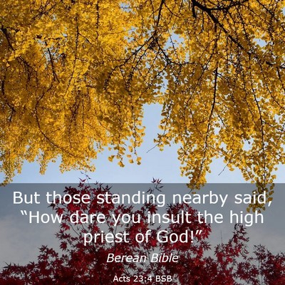 Picture 03 - Acts 23:4 BSB - But those standing nearby said, “How dare you - Bible Verse Picture