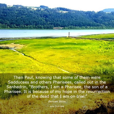 Picture 03 - Acts 23:6 BSB - Then Paul, knowing that some of them were - Bible Verse Picture