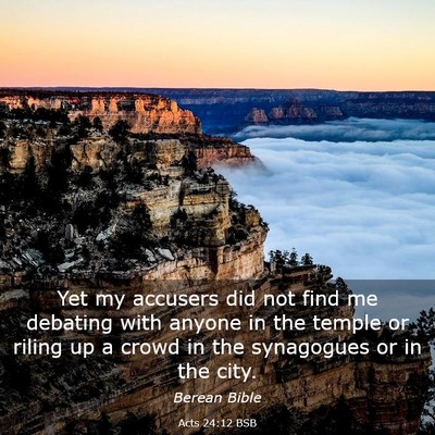 Picture 03 - Acts 24:12 BSB - Yet my accusers did not find me debating with - Bible Verse Picture