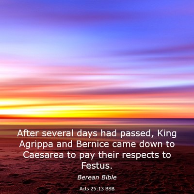 Picture 03 - Acts 25:13 BSB - After several days had passed, King Agrippa and - Bible Verse Picture