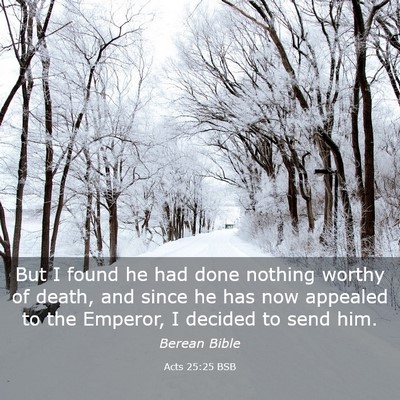 Picture 03 - Acts 25:25 BSB - But I found he had done nothing worthy of death, - Bible Verse Picture