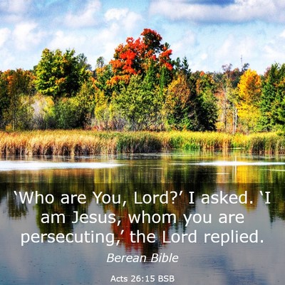 Picture 03 - Acts 26:15 BSB - ‘Who are You, Lord?’ I asked. ‘I am Jesus, - Bible Verse Picture