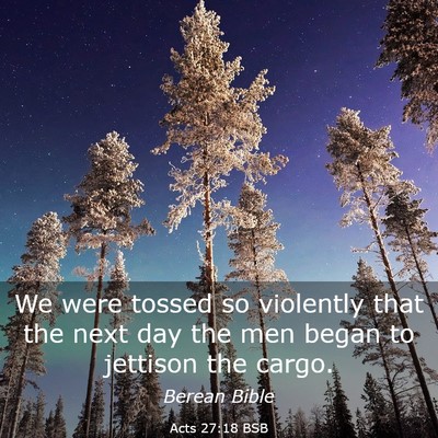 Picture 03 - Acts 27:18 BSB - We were tossed so violently that the next day the - Bible Verse Picture